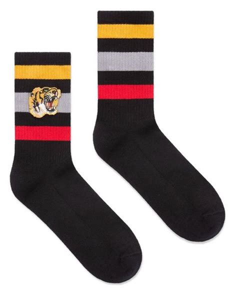 gucci rainbow socks|gucci socks tiger black.